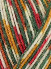 Load image into Gallery viewer, WYS Signature 4Ply (Ideal for socks)