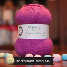 Load image into Gallery viewer, WYS Signature 4Ply (Ideal for socks)