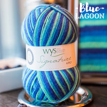 Load image into Gallery viewer, WYS Signature 4Ply (Ideal for socks)