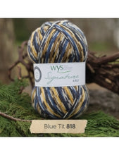 Load image into Gallery viewer, WYS Signature 4Ply (Ideal for socks)