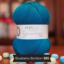 Load image into Gallery viewer, WYS Signature 4Ply (Ideal for socks)