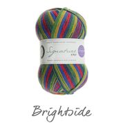 Load image into Gallery viewer, WYS Signature 4Ply (Ideal for socks)