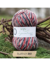 Load image into Gallery viewer, WYS Signature 4Ply (Ideal for socks)