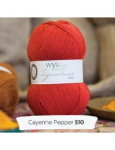 Load image into Gallery viewer, WYS Signature 4Ply (Ideal for socks)
