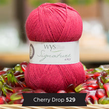 Load image into Gallery viewer, WYS Signature 4Ply (Ideal for socks)