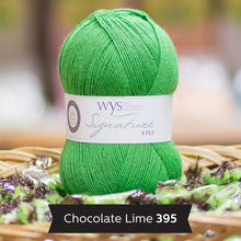 Load image into Gallery viewer, WYS Signature 4Ply (Ideal for socks)