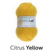 Load image into Gallery viewer, WYS ColourLab D.k