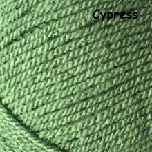 Load image into Gallery viewer, Stylecraft Special D.K Colours