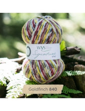 Load image into Gallery viewer, WYS Signature 4Ply (Ideal for socks)
