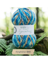 Load image into Gallery viewer, WYS Signature 4Ply (Ideal for socks)
