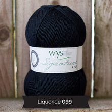 Load image into Gallery viewer, WYS Signature 4Ply (Ideal for socks)