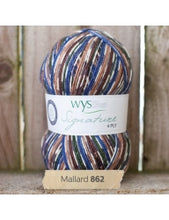 Load image into Gallery viewer, WYS Signature 4Ply (Ideal for socks)