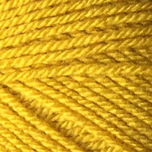 Load image into Gallery viewer, Stylecraft Special Chunky