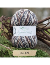 Load image into Gallery viewer, WYS Signature 4Ply (Ideal for socks)