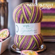 Load image into Gallery viewer, WYS Signature 4Ply (Ideal for socks)