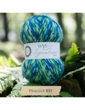 Load image into Gallery viewer, WYS Signature 4Ply (Ideal for socks)