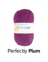 Load image into Gallery viewer, WYS ColourLab D.k