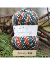 Load image into Gallery viewer, WYS Signature 4Ply (Ideal for socks)