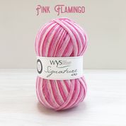 Load image into Gallery viewer, WYS Signature 4Ply (Ideal for socks)