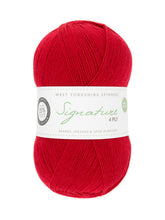 Load image into Gallery viewer, WYS Signature 4Ply (Ideal for socks)