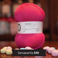 Load image into Gallery viewer, WYS Signature 4Ply (Ideal for socks)