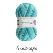 Load image into Gallery viewer, WYS Signature 4Ply (Ideal for socks)