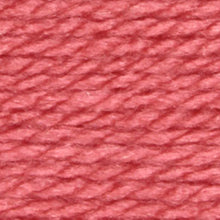 Load image into Gallery viewer, Stylecraft Special Aran