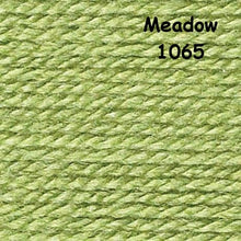 Load image into Gallery viewer, Stylecraft Special D.K Colours