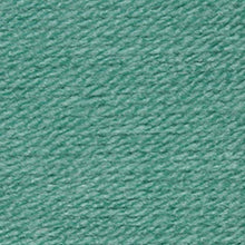 Load image into Gallery viewer, Stylecraft Special Aran