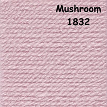 Load image into Gallery viewer, Stylecraft Special D.K Neutrals/Greys/Marls