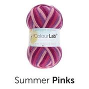 Load image into Gallery viewer, WYS ColourLab D.k