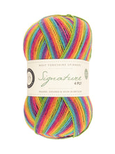 Load image into Gallery viewer, WYS Signature 4Ply (Ideal for socks)