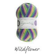 Load image into Gallery viewer, WYS Signature 4Ply (Ideal for socks)