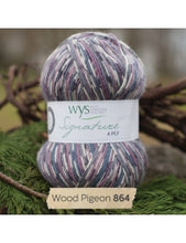 Load image into Gallery viewer, WYS Signature 4Ply (Ideal for socks)