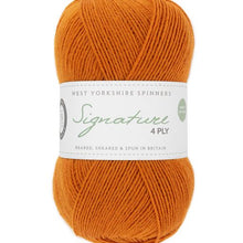 Load image into Gallery viewer, WYS Signature 4Ply (Ideal for socks)