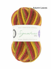 Load image into Gallery viewer, WYS Signature 4Ply (Ideal for socks)