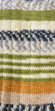 Load image into Gallery viewer, Stylecraft Head over Heels - Walking in Nature 4Ply