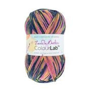 Load image into Gallery viewer, WYS ColourLab D.k