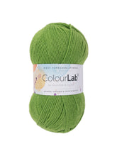 Load image into Gallery viewer, WYS ColourLab D.k