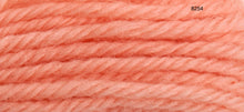 Load image into Gallery viewer, Anchor Tapestry Wool Numbers 8000- 8354
