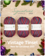 Load image into Gallery viewer, WYS Signature 4Ply (Ideal for socks)
