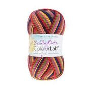 Load image into Gallery viewer, WYS ColourLab D.k