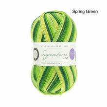 Load image into Gallery viewer, WYS Signature 4Ply (Ideal for socks)