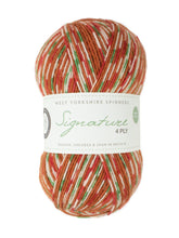 Load image into Gallery viewer, WYS Signature 4Ply (Ideal for socks)