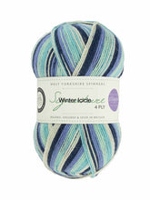 Load image into Gallery viewer, WYS Signature 4Ply (Ideal for socks)
