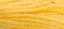 Load image into Gallery viewer, Anchor Tapestry Wool Numbers 8000- 8354