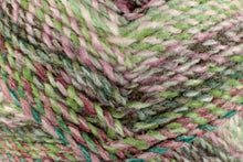 Load image into Gallery viewer, James C Brett Marble Chunky