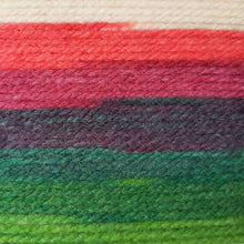 Load image into Gallery viewer, James C Brett Aurora Chunky New
