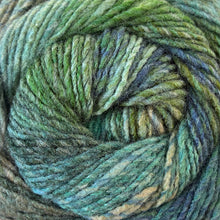 Load image into Gallery viewer, James C. Brett Emotions D.K
