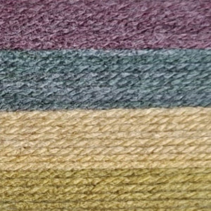 James C Brett Aurora Chunky New